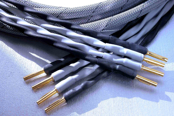 ISENBERG AUDIO SC-5N